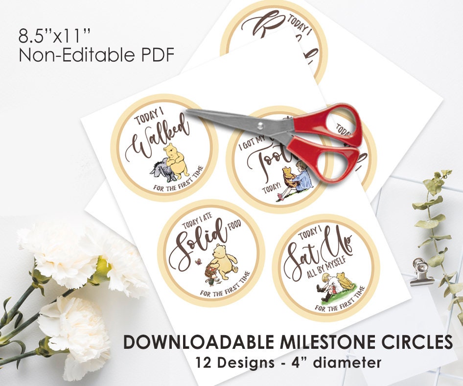 DOWNLOAD in Seconds! Twelve (12) Milestone Circles / Classic Winnie The Pooh / Digital Item / Baby Shower Birthday - spikes.digitalshop
