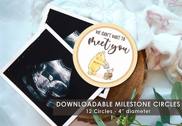 DOWNLOAD in Seconds! Twelve (12) Milestone Circles / Classic Winnie The Pooh / Digital Item / Baby Shower Birthday - spikes.digitalshop