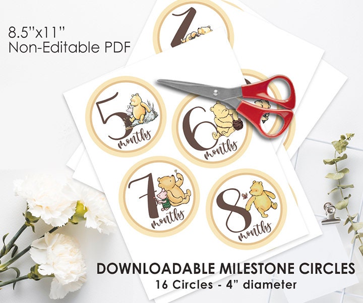 DOWNLOAD in Seconds! Sixteen (16) Milestone Circles / Classic Winnie The Pooh / Digital Instant Dowload / Birthday Baby Shower - spikes.digitalshop